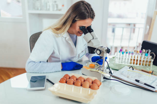 Quality control expert inspecting at chicken eggs in the laboratory