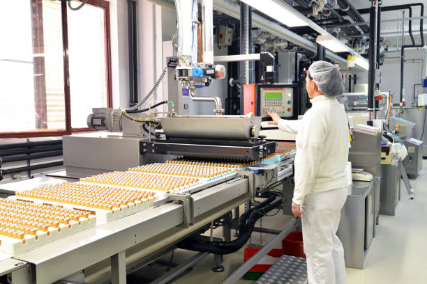 Production process of food in factory for the food manufacturing industry