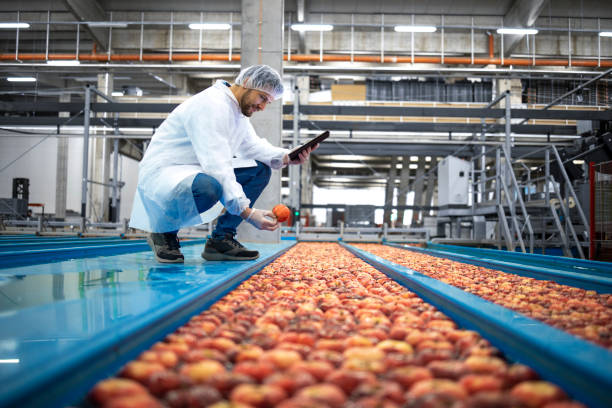 Technologist with tablet doing quality control of apple fruit production in food processing plant