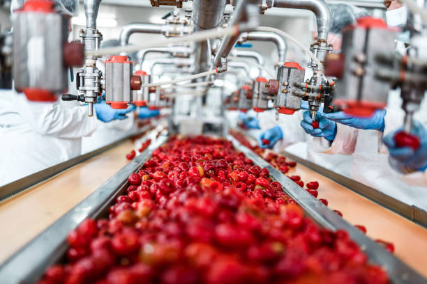 Steps to Optimize Food and Beverage Processes