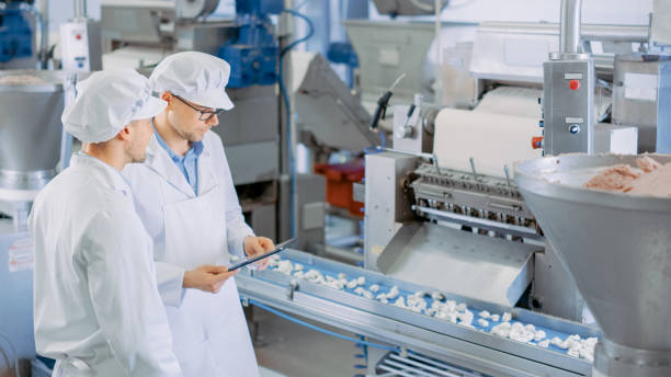 Two Male Quality Supervisors or Food Technicians are Inspecting the Automated Production at a Food Factory for supply